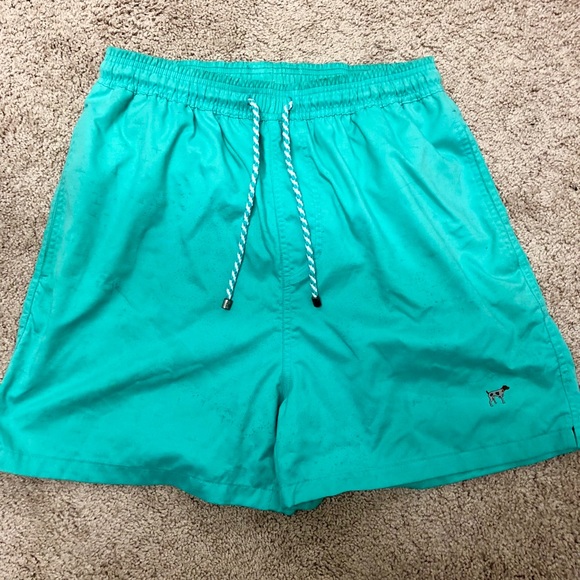 The Southern Point Other - The Southern Point Mens Teal Bathing Suit